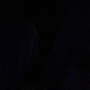 Meet your Posher, Savannah